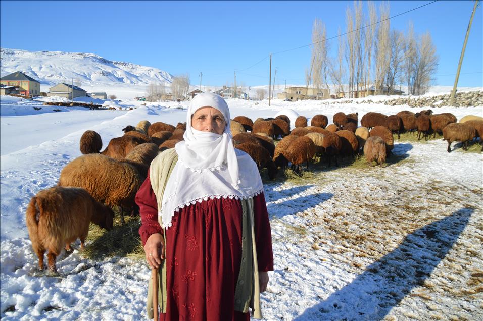 Hayvanları için eksi 15 derecede mücadele ediyorlar