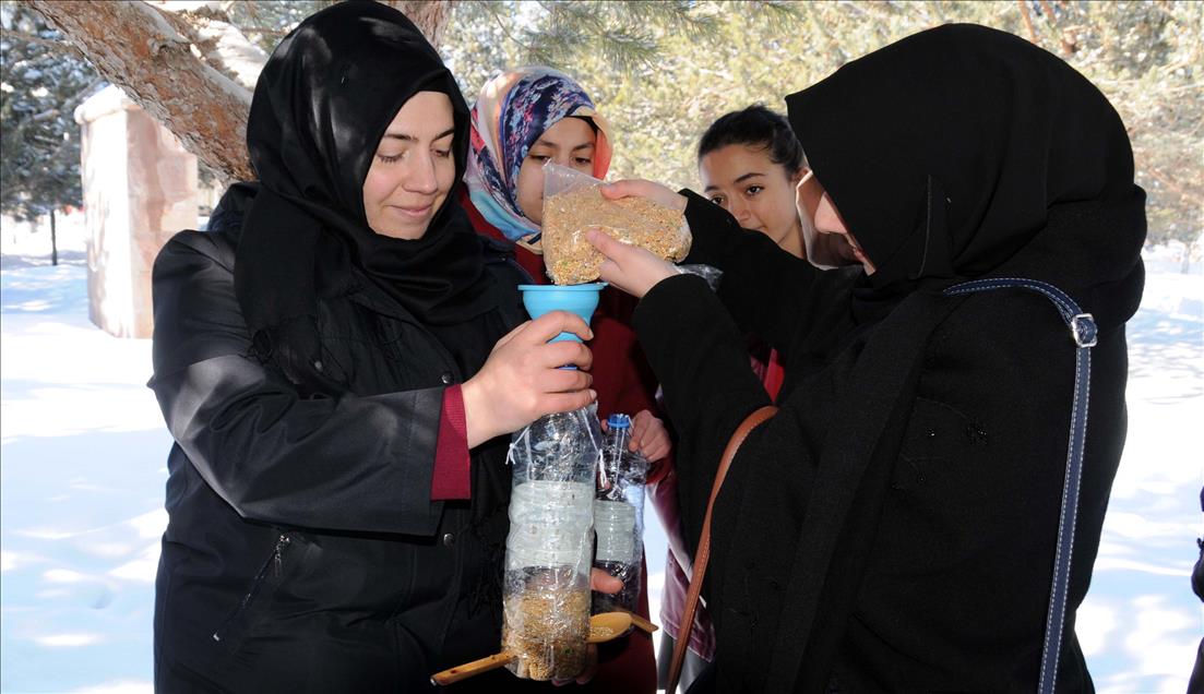 Öğrenciler kuşlar için ağaçlara yemlik astı