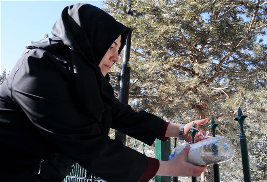 Öğrenciler kuşlar için ağaçlara yemlik astı