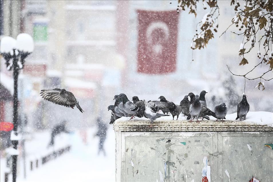 Ankara'da kar yağışı