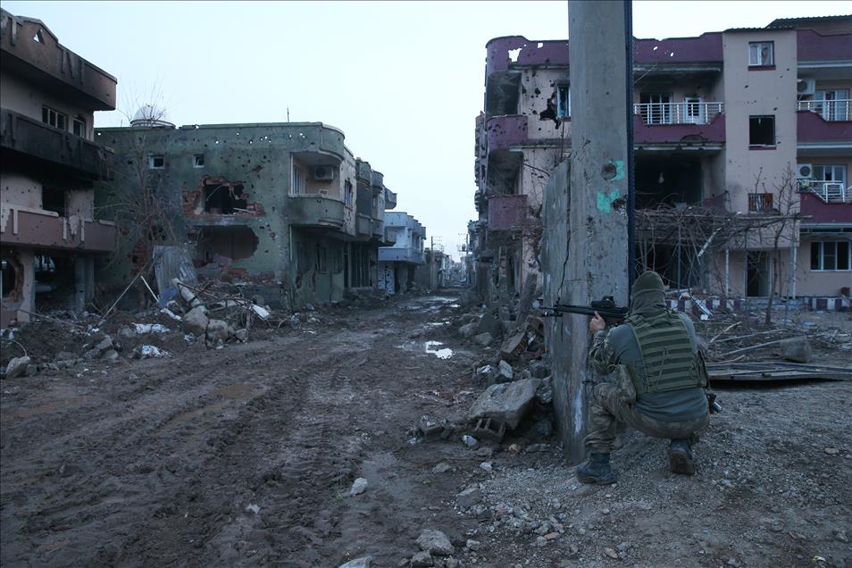 Cizre'de terör örgütü PKK'ya yönelik "Şehit Jandarma Astsubay Kıdemli Çavuş Burak Demirci" operasyonu sürüyor.