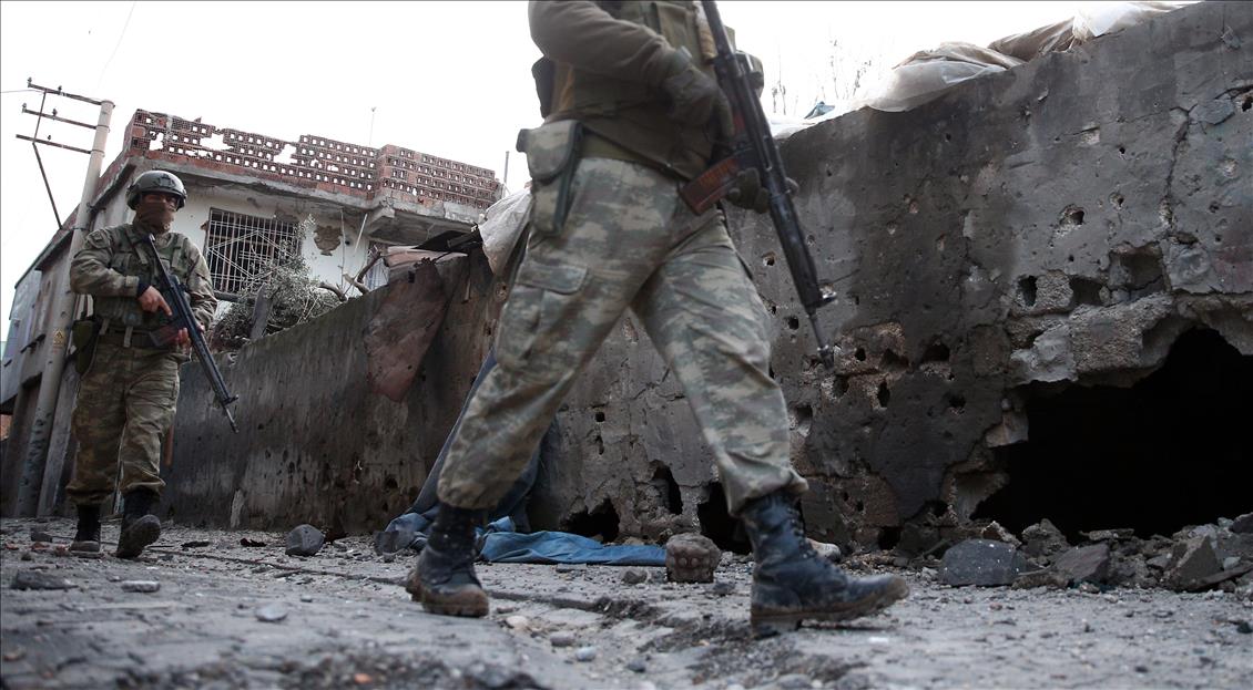Cizre'de terör örgütü PKK'ya yönelik "Şehit Jandarma Astsubay Kıdemli Çavuş Burak Demirci" operasyonu sürüyor.