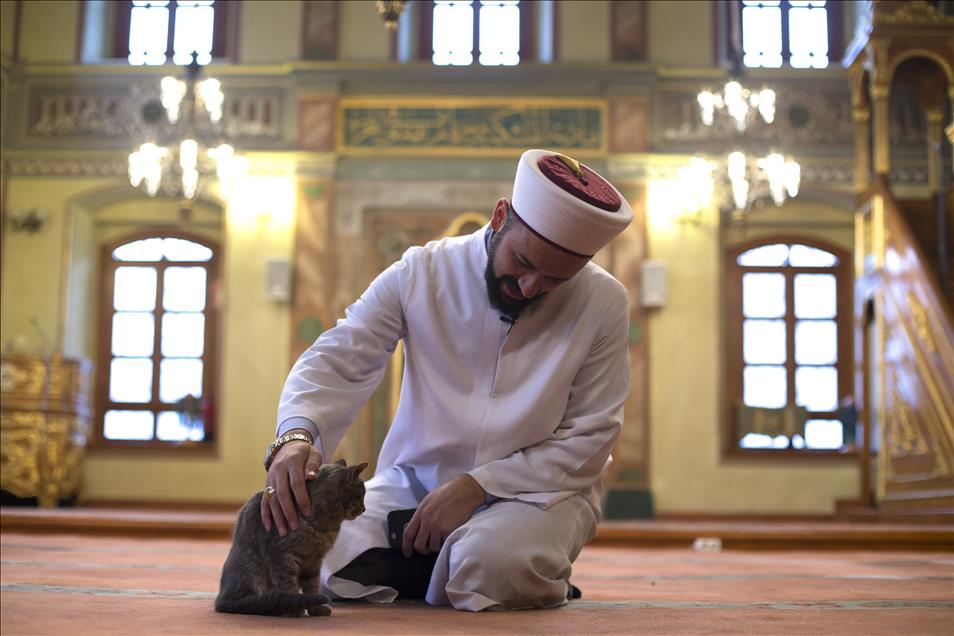 Imam opens the door of Mosque for cats