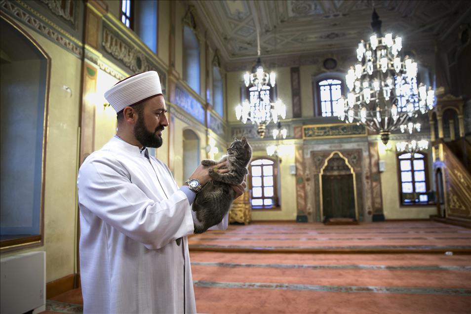 Imam opens the door of Mosque for cats