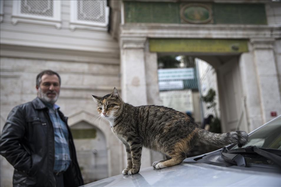 Imam opens the door of Mosque for cats