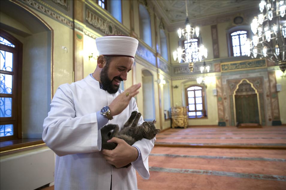 Imam opens the door of Mosque for cats