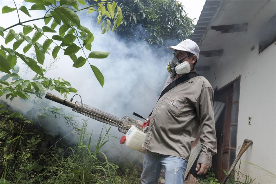 Bolivya'da Zika virüsüyle mücadele