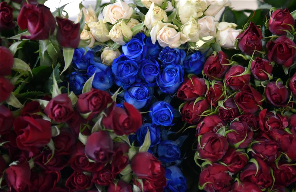 Gül üreticilerinde "14 Şubat" mesaisi