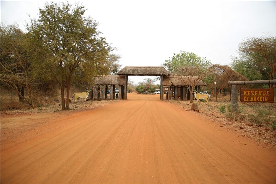Senegal vahşi yaşam meraklılarını bekliyor
