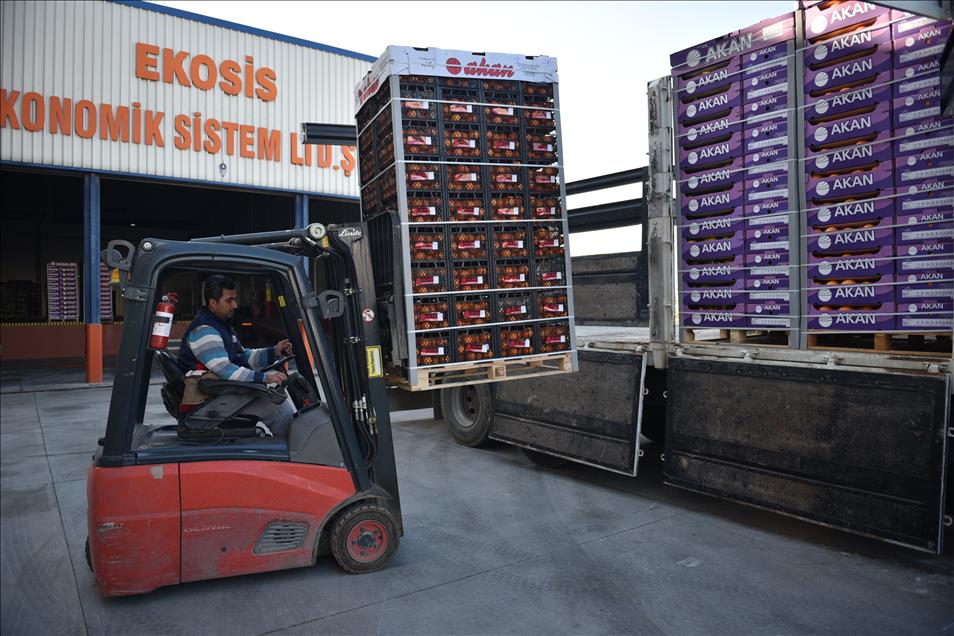 Mersin'den güvenlik güçlerine 120 ton narenciye gönderildi
