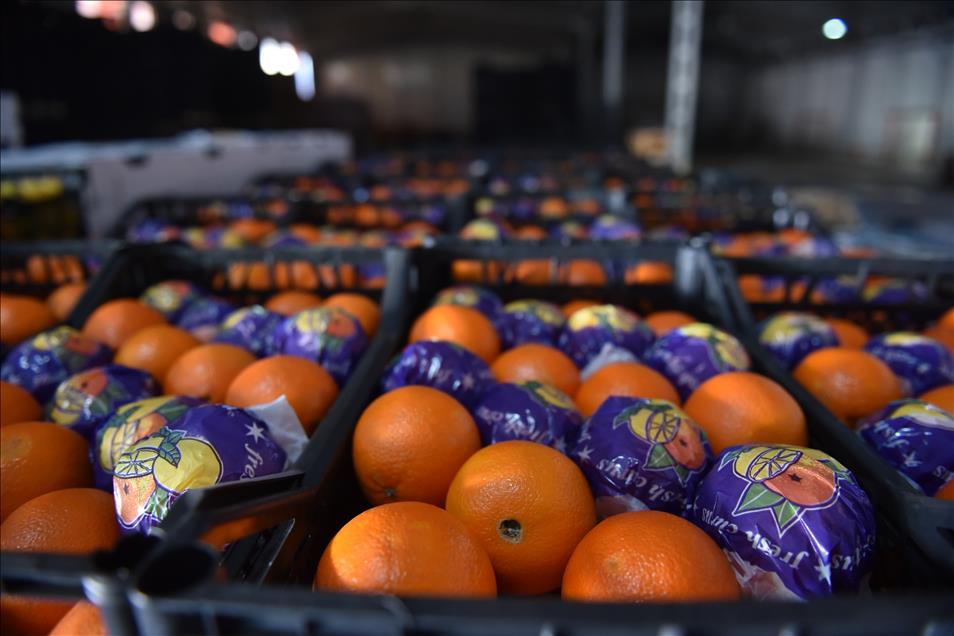 Mersin'den güvenlik güçlerine 120 ton narenciye gönderildi