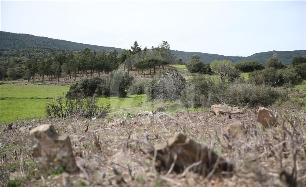 Çanakkale'de yeni "şehitlik" bulundu