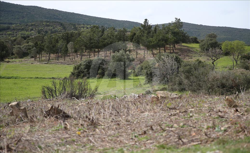 Çanakkale'de yeni "şehitlik" bulundu