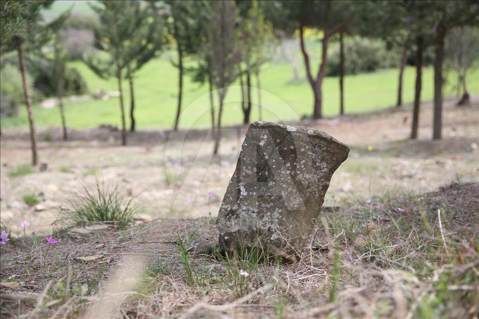 Çanakkale'de yeni "şehitlik" bulundu