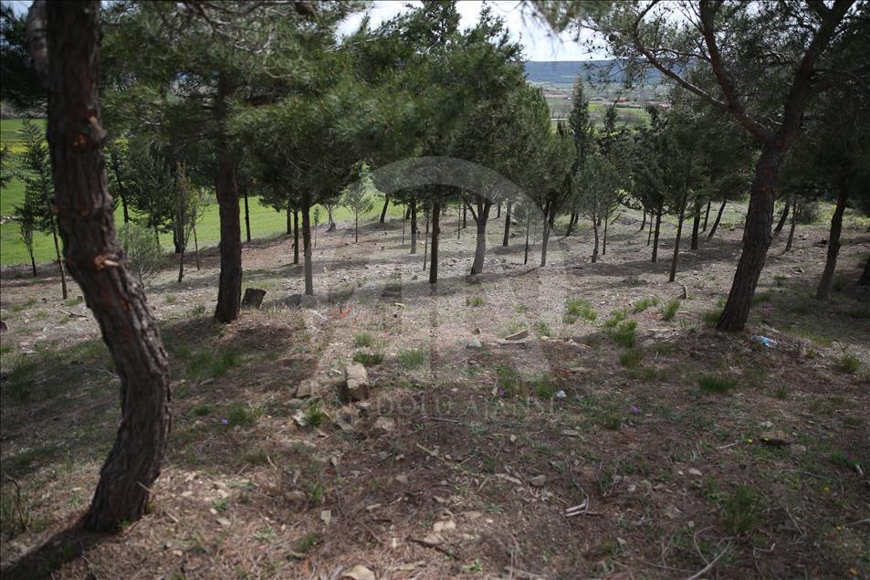 Çanakkale'de yeni "şehitlik" bulundu