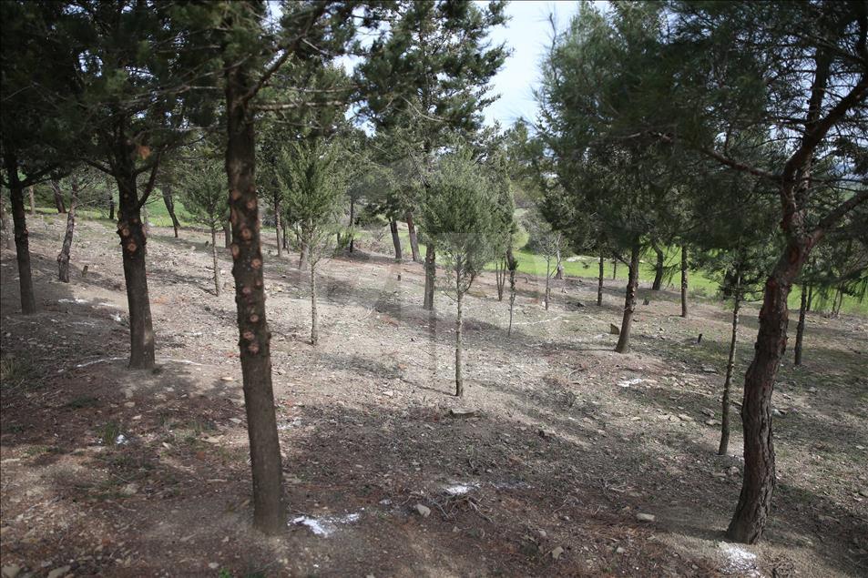 Çanakkale'de yeni "şehitlik" bulundu