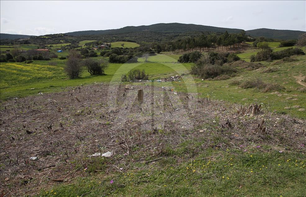 Çanakkale'de yeni "şehitlik" bulundu