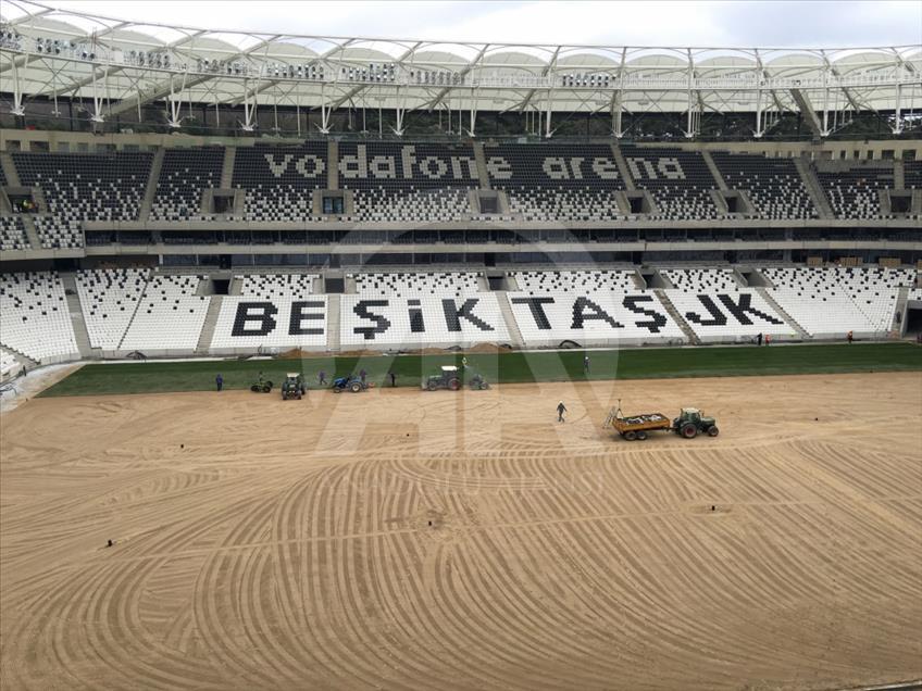 Vodafone Arena'da çimler seriliyor