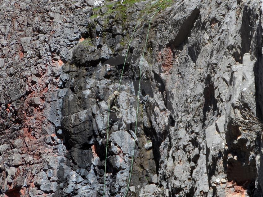 Komandolardan Tunceli'de operasyon