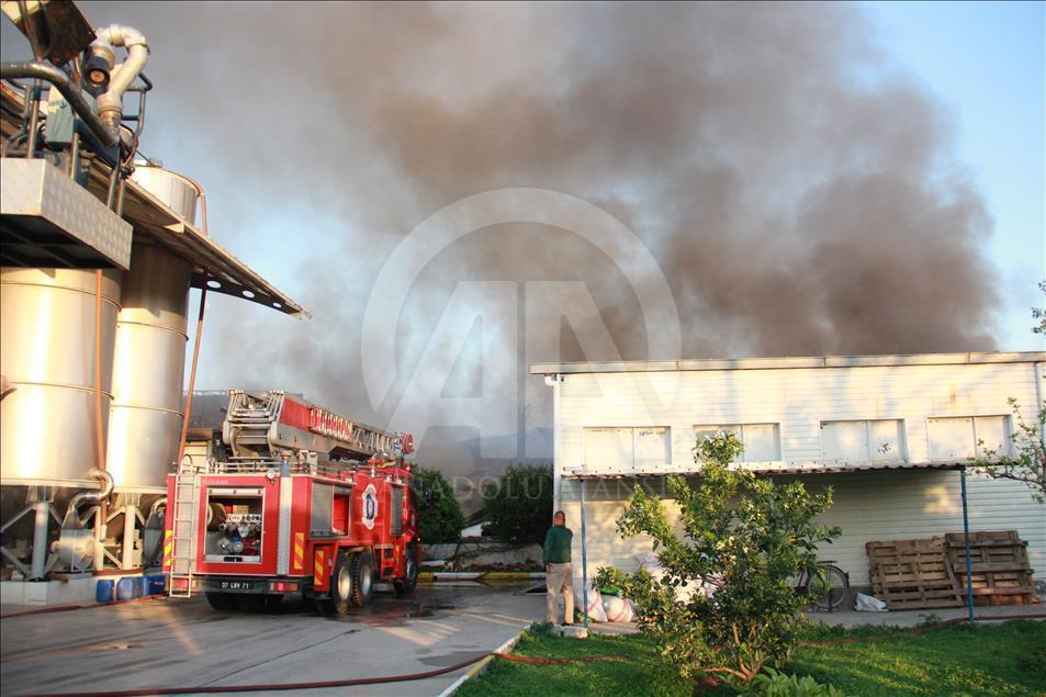 Antalya'da polyester fabrikasında yangın