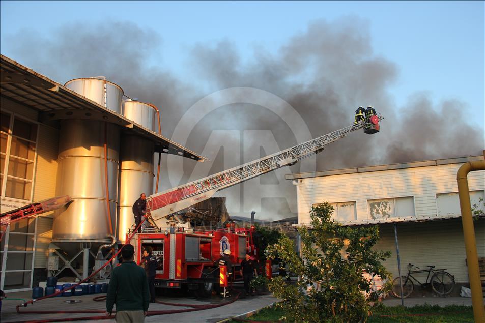 Antalya'da polyester fabrikasında yangın