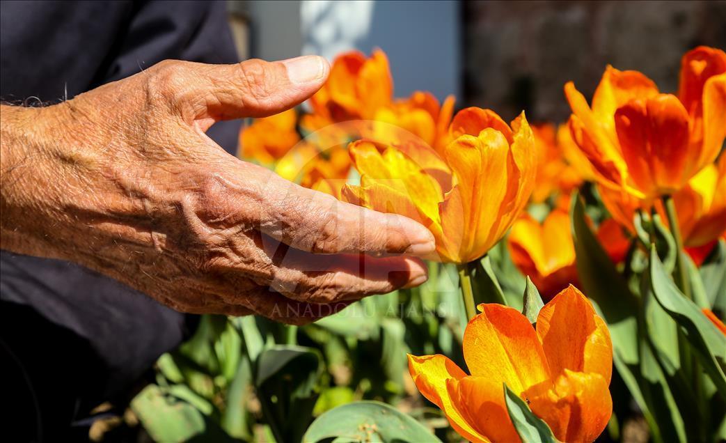 Bursa'da çiçeklerle renk cümbüşü