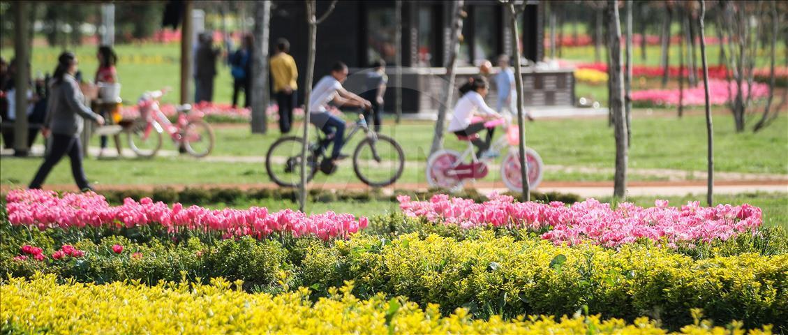 Bursa'da çiçeklerle renk cümbüşü