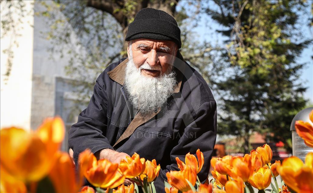 Bursa'da çiçeklerle renk cümbüşü