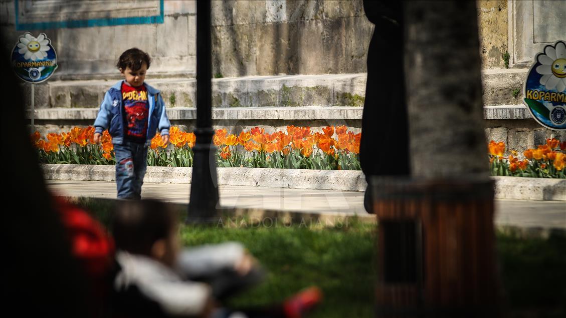 Bursa'da çiçeklerle renk cümbüşü