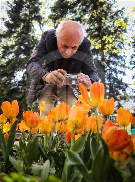 Bursa'da çiçeklerle renk cümbüşü
