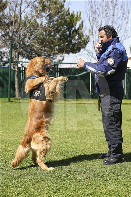 Emniyetin "hassas burunları"