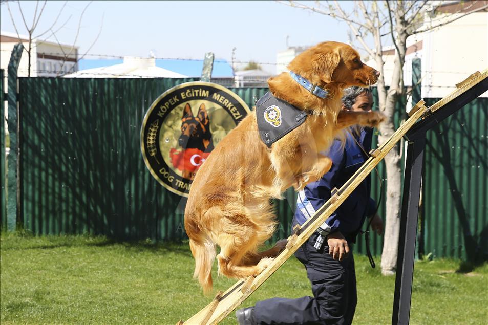 Emniyetin "hassas burunları"