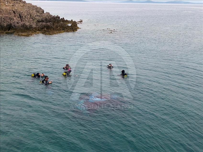 Anadolu Ajansı 96 yaşında