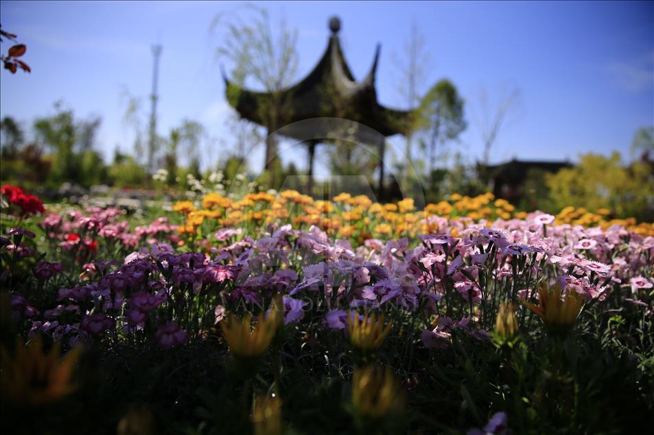 Japonya ve Çin, büyüleyici bahçeleriyle EXPO'da