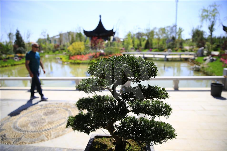 Japonya ve Çin, büyüleyici bahçeleriyle EXPO'da
