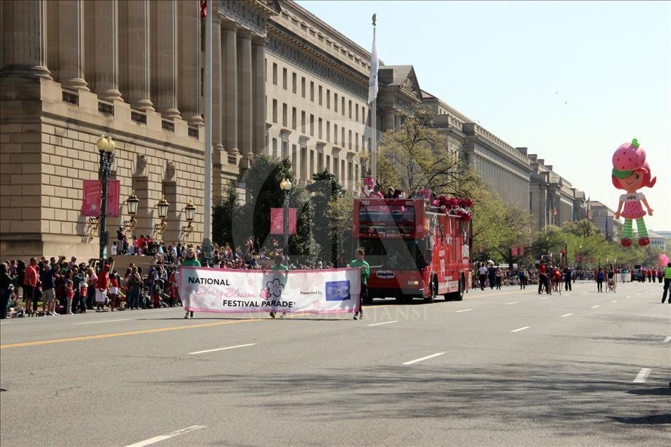 Washington'da "Ulusal Kiraz Çiçeği Festivali"