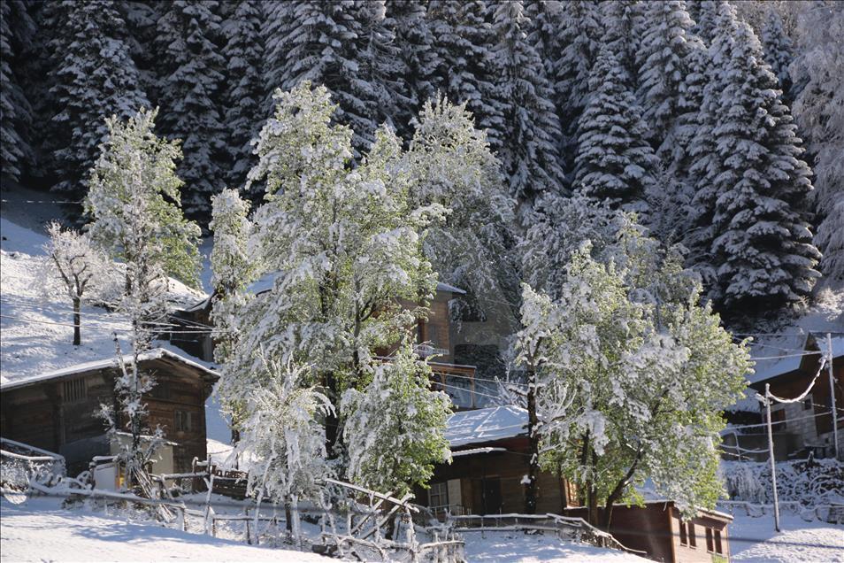 Ayder Yaylası'na kar yağdı
