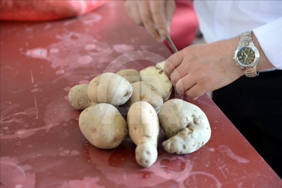 "Başçiftlik Beyazı" patatese tescil