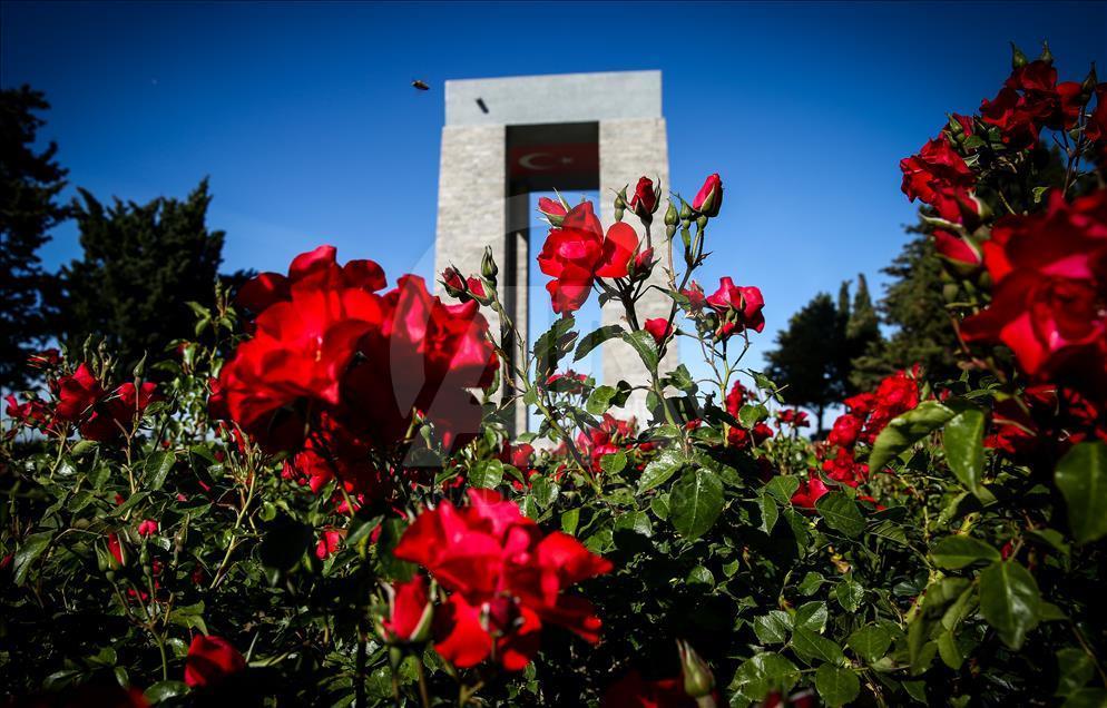 Gelibolu, Çanakkale Kara Savaşları'nın 101. yılı