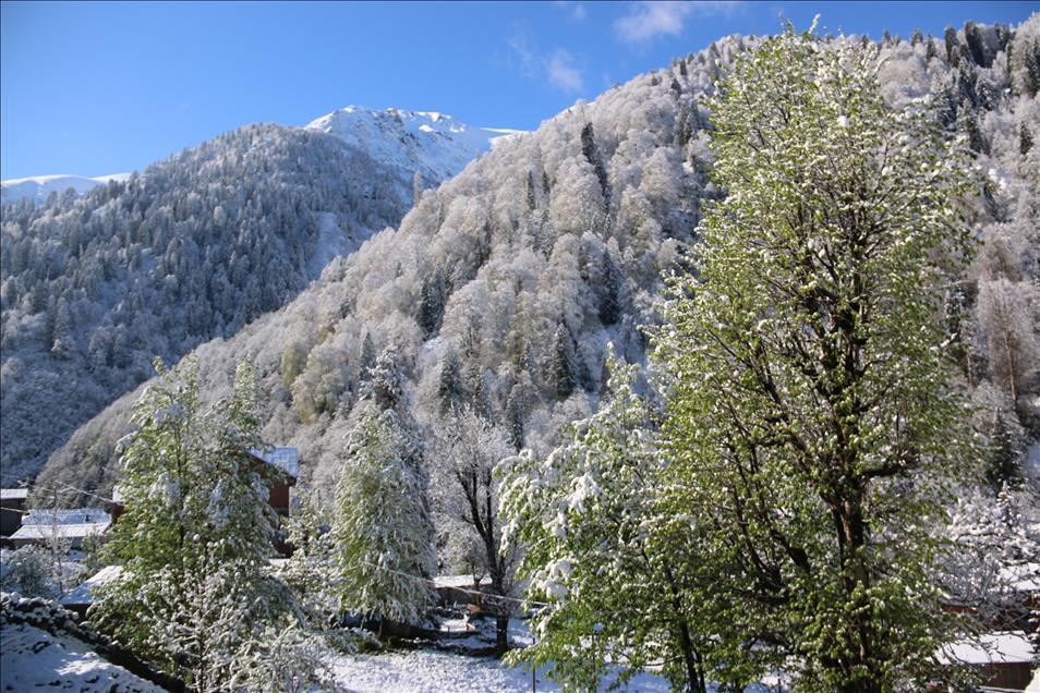 Ayder Yaylası'na kar yağdı
