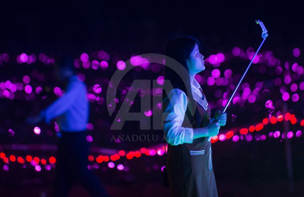 Çin'deki bir çiçek tarlasında 'Tarımsal Işık Festivali' düzenlendi