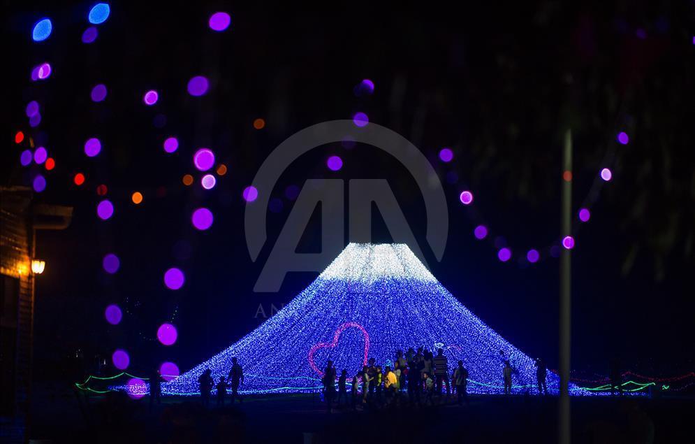 Çin'deki bir çiçek tarlasında 'Tarımsal Işık Festivali' düzenlendi