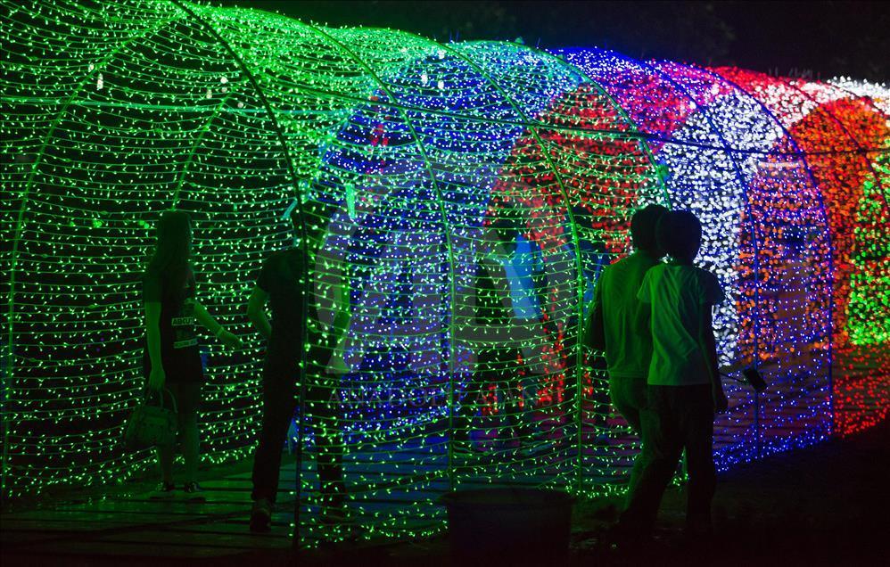 Çin'deki bir çiçek tarlasında 'Tarımsal Işık Festivali' düzenlendi