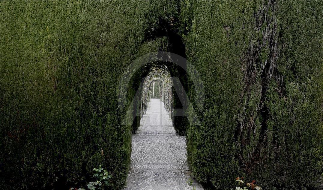 Аль-Хамра - дворец из сказок «Тысячи и одной ночи»