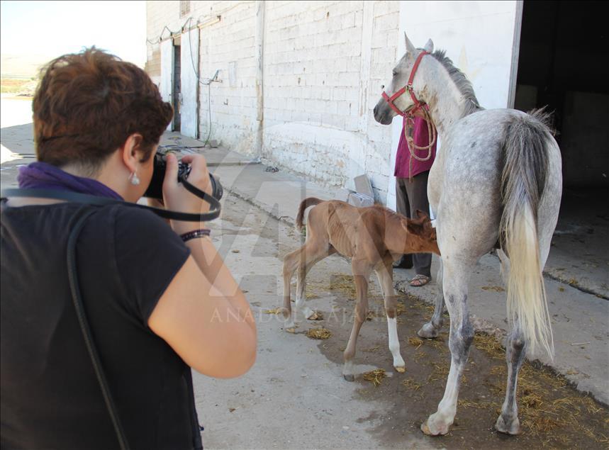 Sosyal medya fenomenleri Şanlıurfa'yı fotoğrafladı