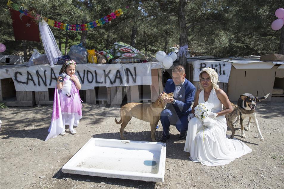 Hayvansever çiftten barınakta düğün