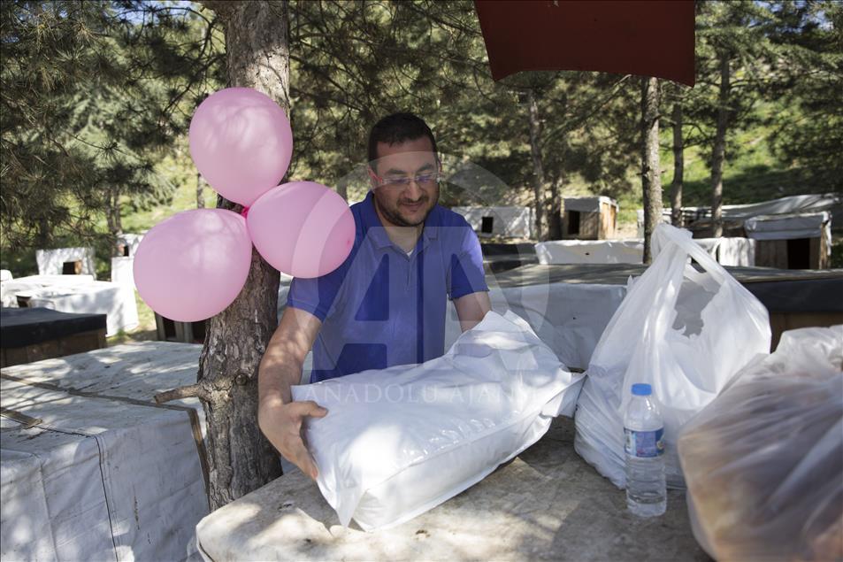 Hayvansever çiftten barınakta düğün