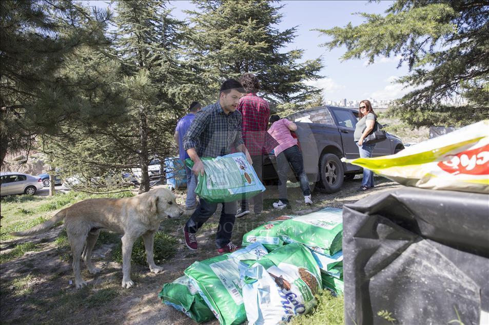 Hayvansever çiftten barınakta düğün