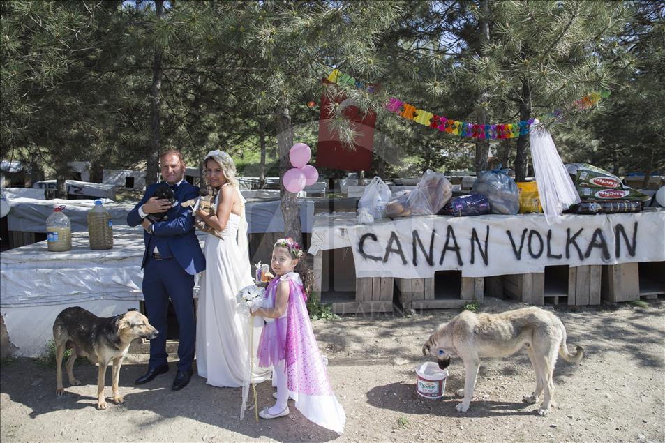 Hayvansever çiftten barınakta düğün