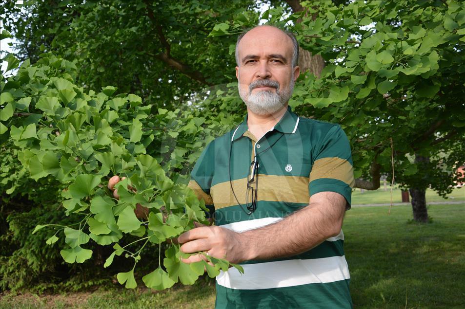 "Yaşayan fosil" milyonlarca yıldır insanlığın hizmetinde